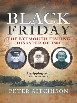 cover image of Black Friday